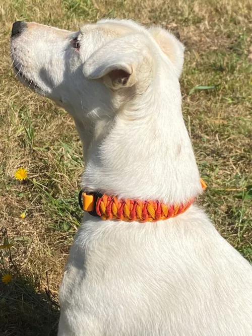Accessoires au poil animaux fait main, fabrication en Normandie, collier pour chien Cascading Ladder coloris orange