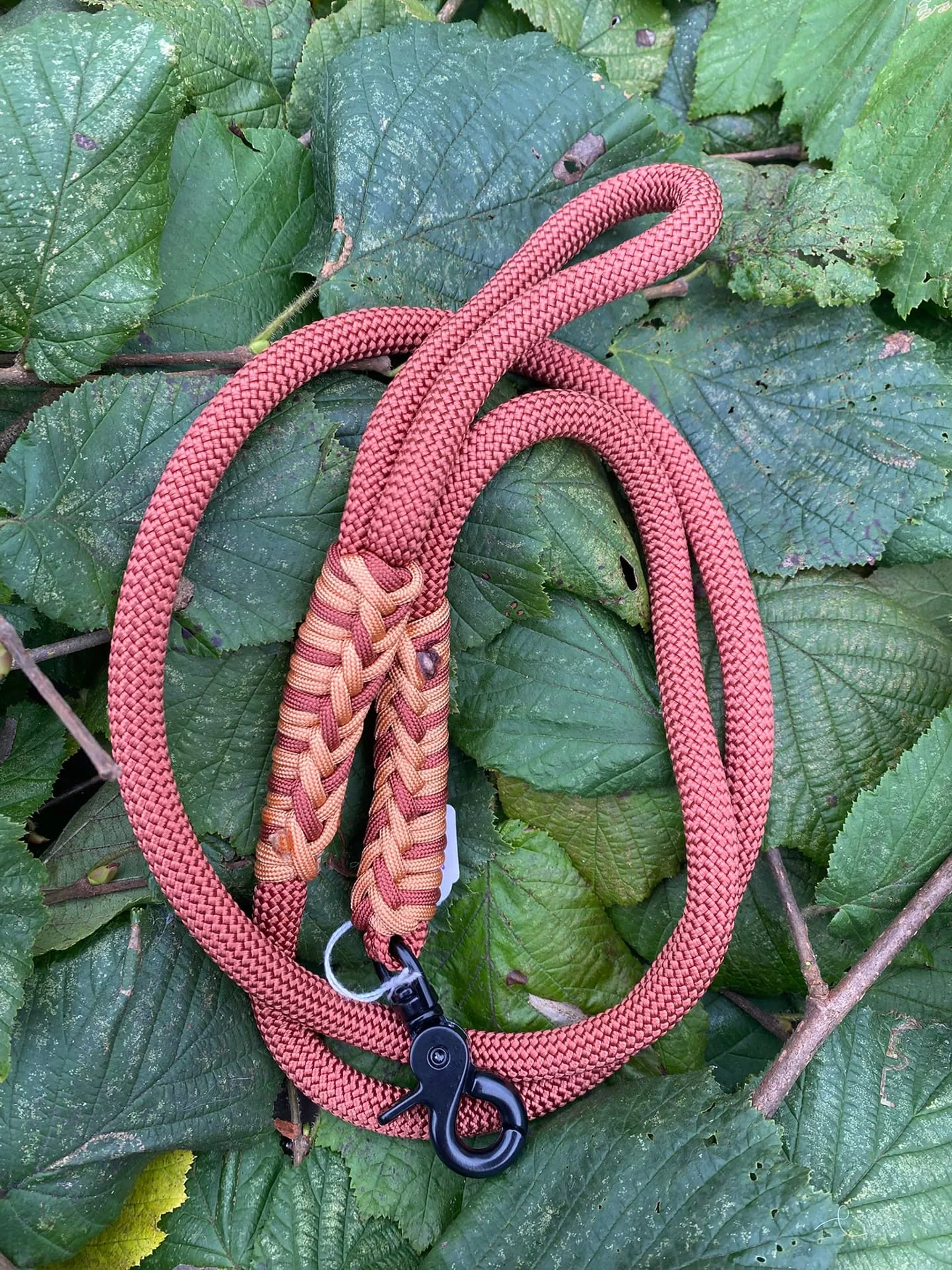 Accessoires au poil animaux fait main, fabrication en Normandie, laisse de diamètre 10 mm pour chien coloris bronze