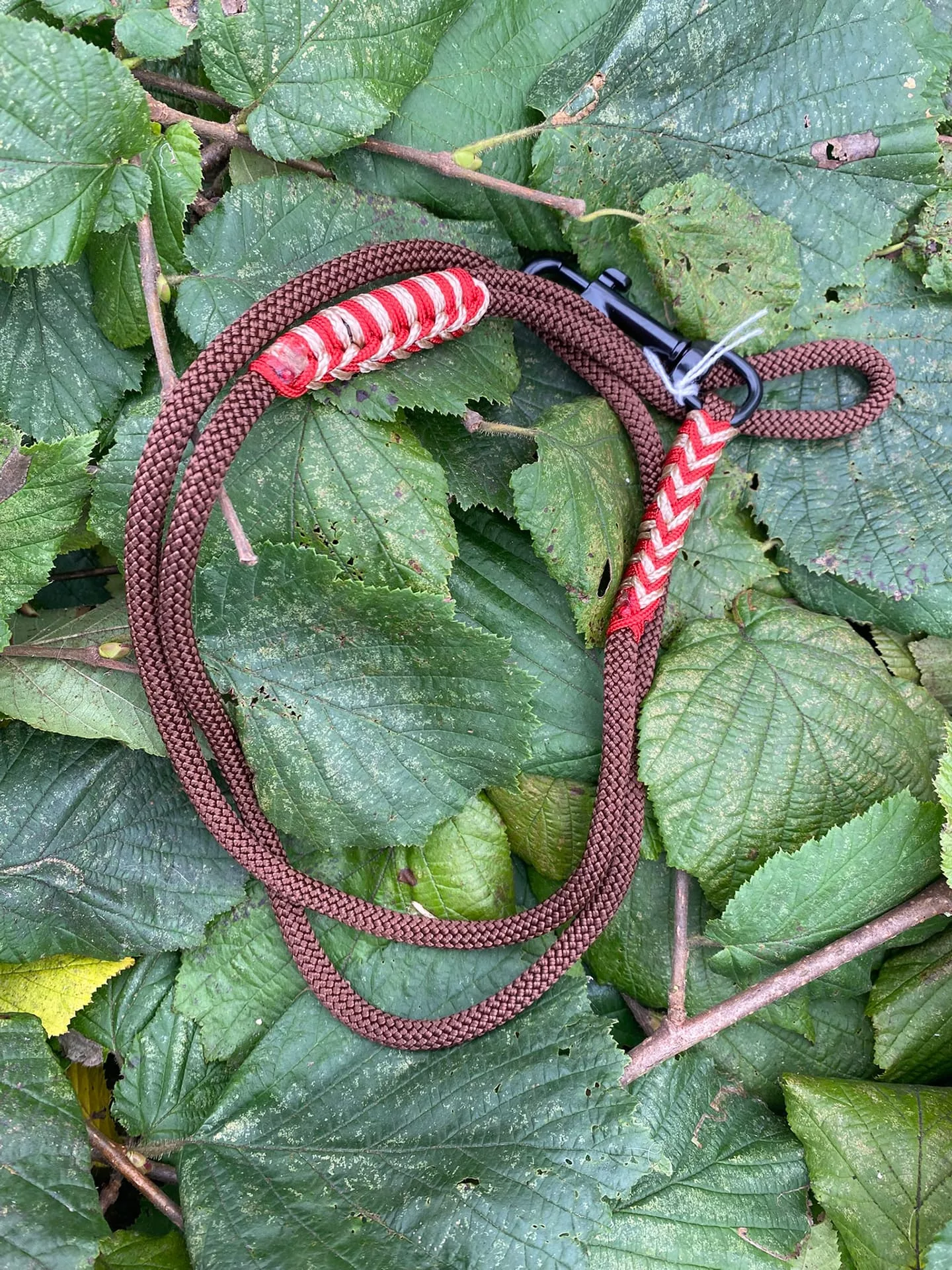 Accessoires au poil animaux fait main, fabrication en Normandie, laisse de diamètre 10 mm pour chien coloris chocolat brun