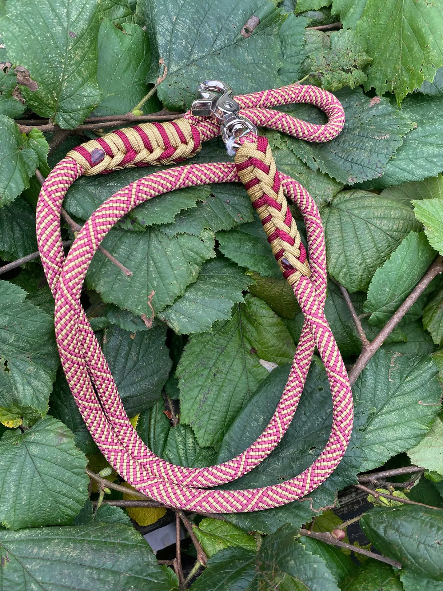 Accessoires au poil animaux fait main, fabrication en Normandie, laisse de diamètre 10 mm pour chien coloris crown