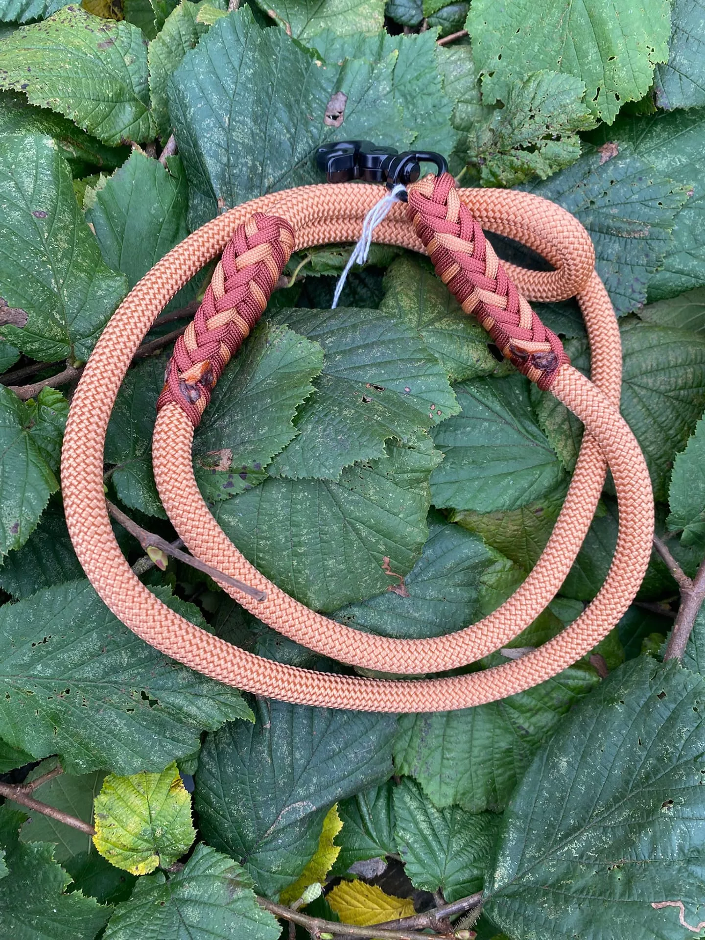 Accessoires au poil animaux fait main, fabrication en Normandie, laisse de diamètre 10 mm pour chien finition bronze