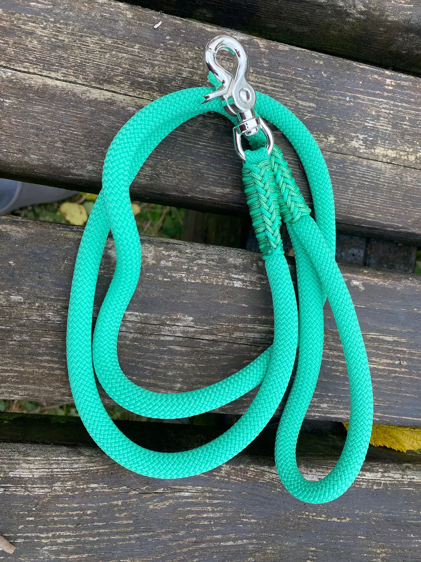 Accessoires au poil animaux fait main, fabrication en Normandie, laisse de diamètre 10 mm pour chien coloris freshmint