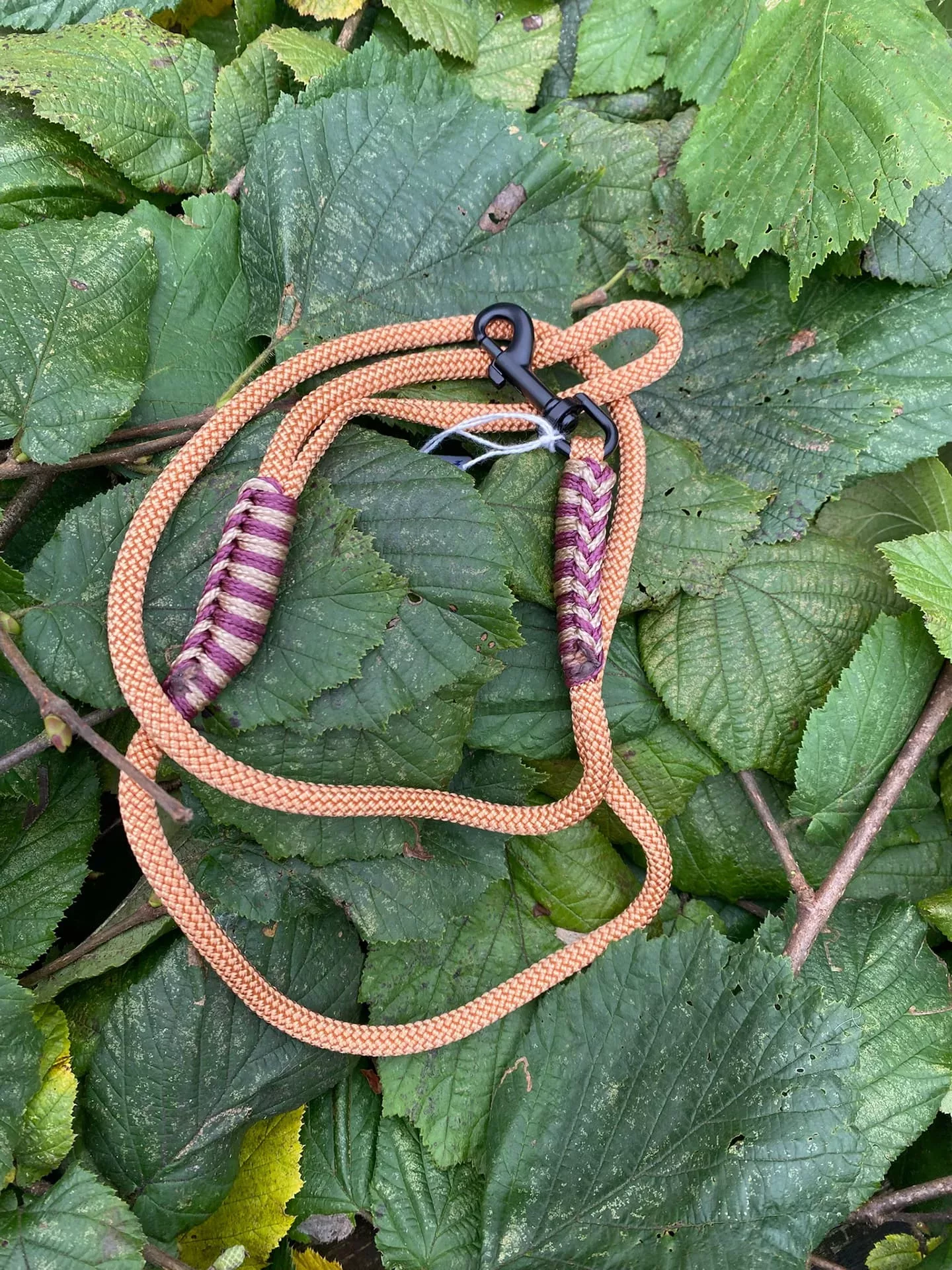 Accessoires au poil animaux fait main, fabrication en Normandie, laisse pour chien 10mm glamour