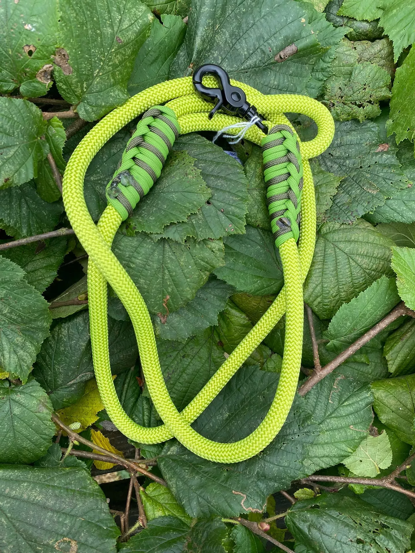 Accessoires au poil animaux fait main, fabrication en Normandie, laisse pour chien 10mm Leaf vert