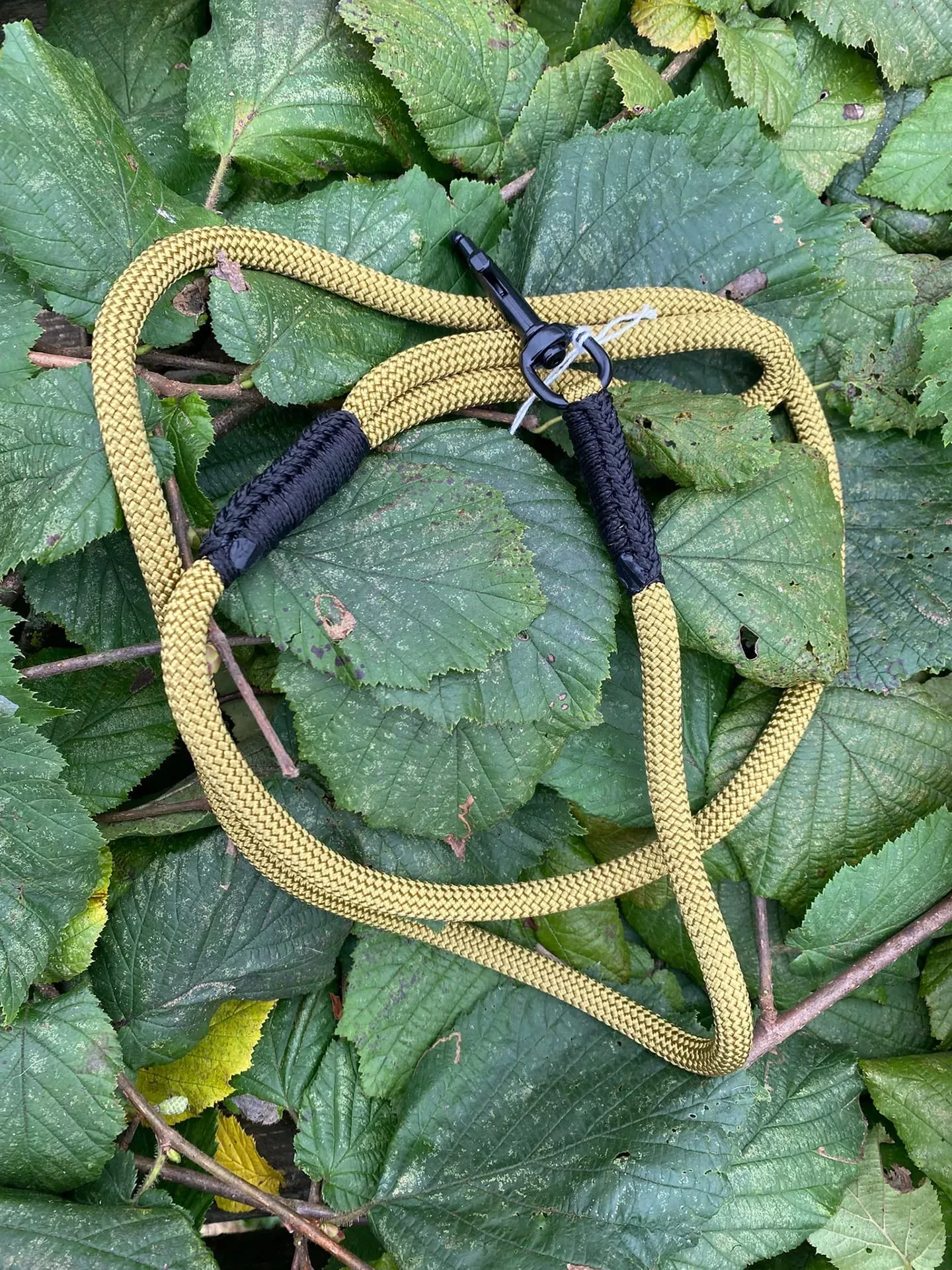 Accessoires au poil animaux fait main, fabrication en Normandie, laisse pour chien 10mm or