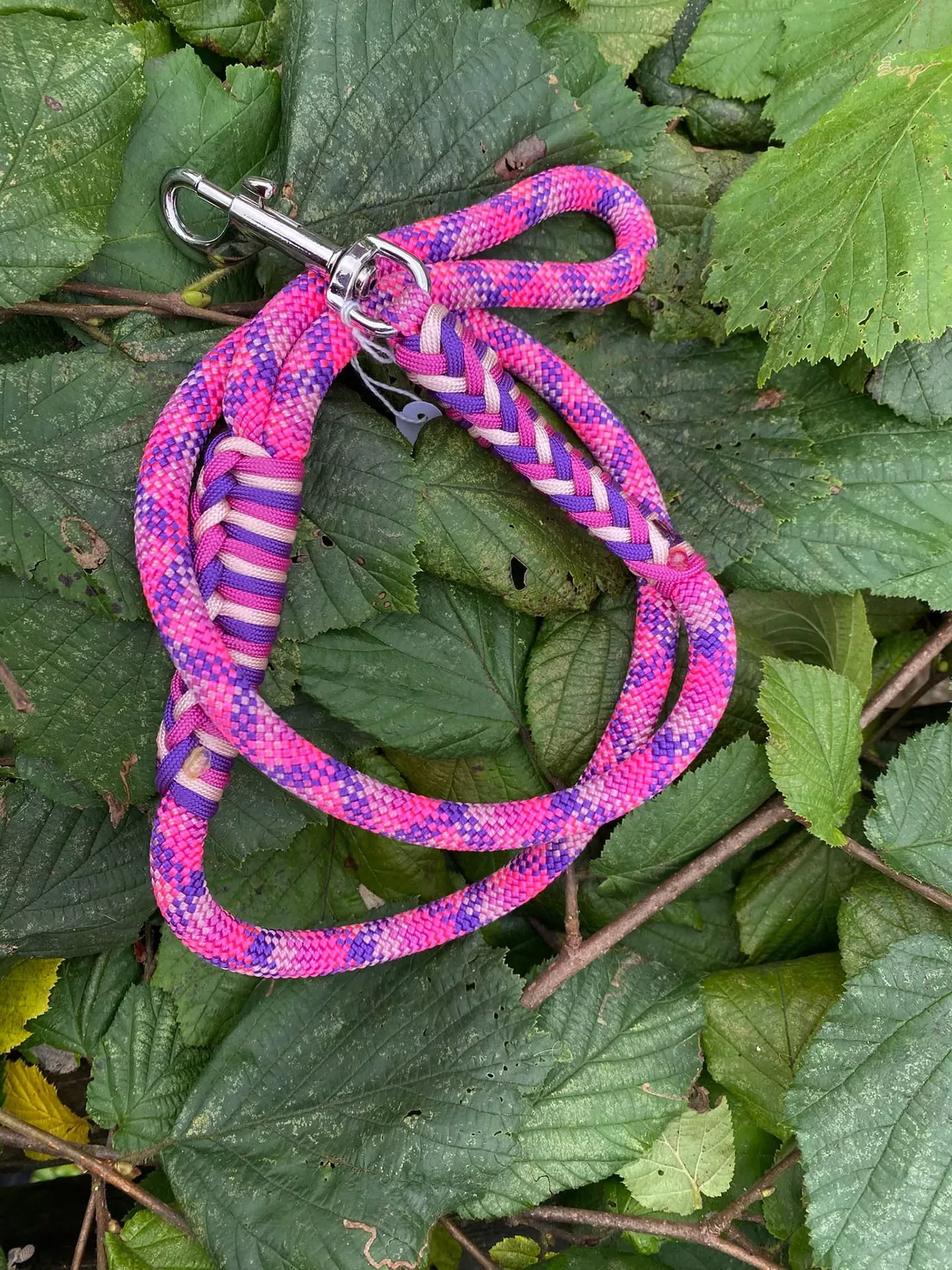 Accessoires au poil animaux fait main, fabrication en Normandie, laisse pour chien 10mm vibrant pansy