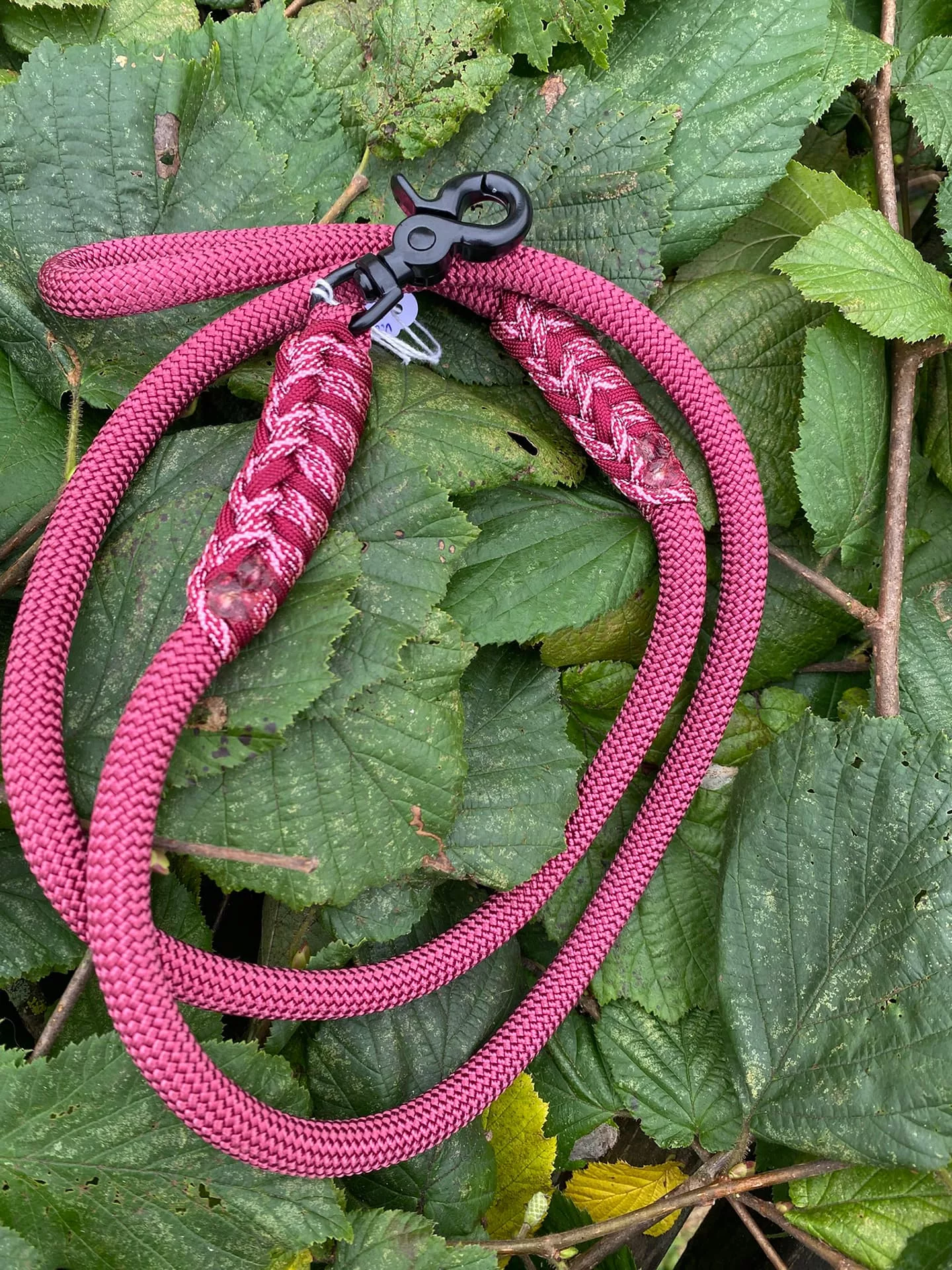 Accessoires au poil animaux fait main, fabrication en Normandie, laisse de diamètre 10 mm pour chien coloris vivalavino