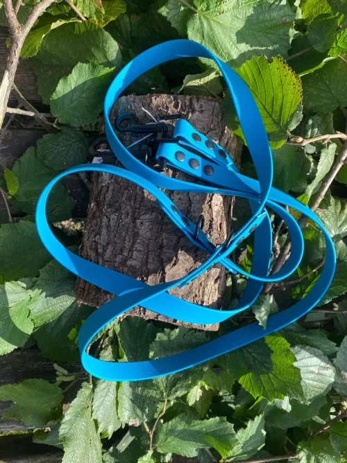 Accessoires au poil animaux fait main, fabrication en Normandie, laisse pour chien en biothane, 3 points couleur bleu lagune