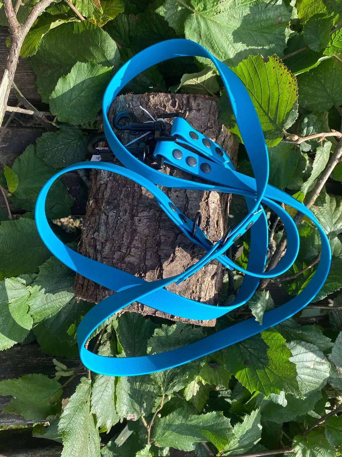 Accessoires au poil animaux fait main, fabrication en Normandie, laisse pour chien en biothane, 3 points couleur bleu lagune