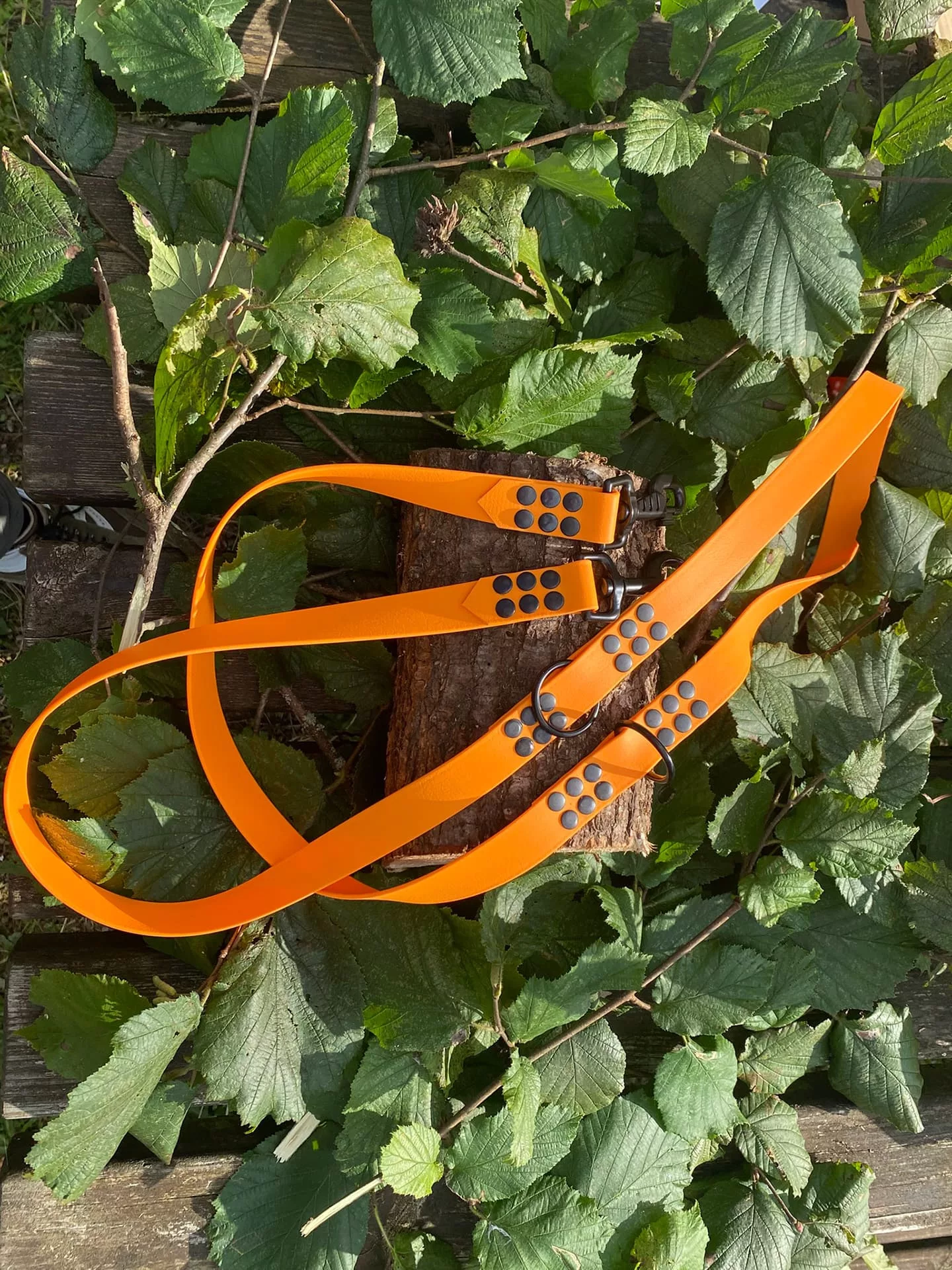 Accessoires au poil animaux fait main, fabrication en Normandie, laisse pour chien en biothane 3 points coloris pêche