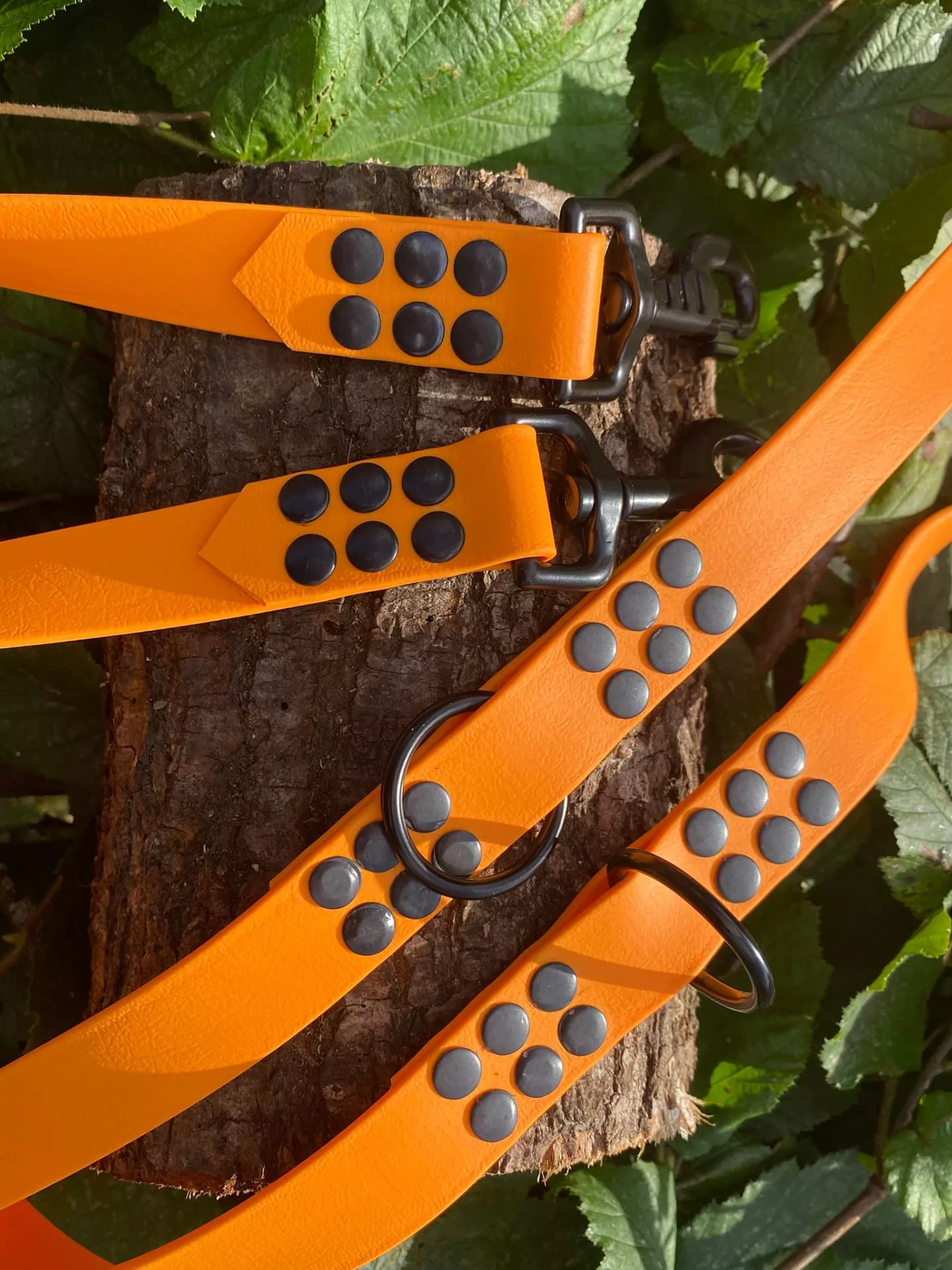 Accessoires au poil animaux fait main, fabrication en Normandie, laisse pour chien en biothane 3 points coloris pêche