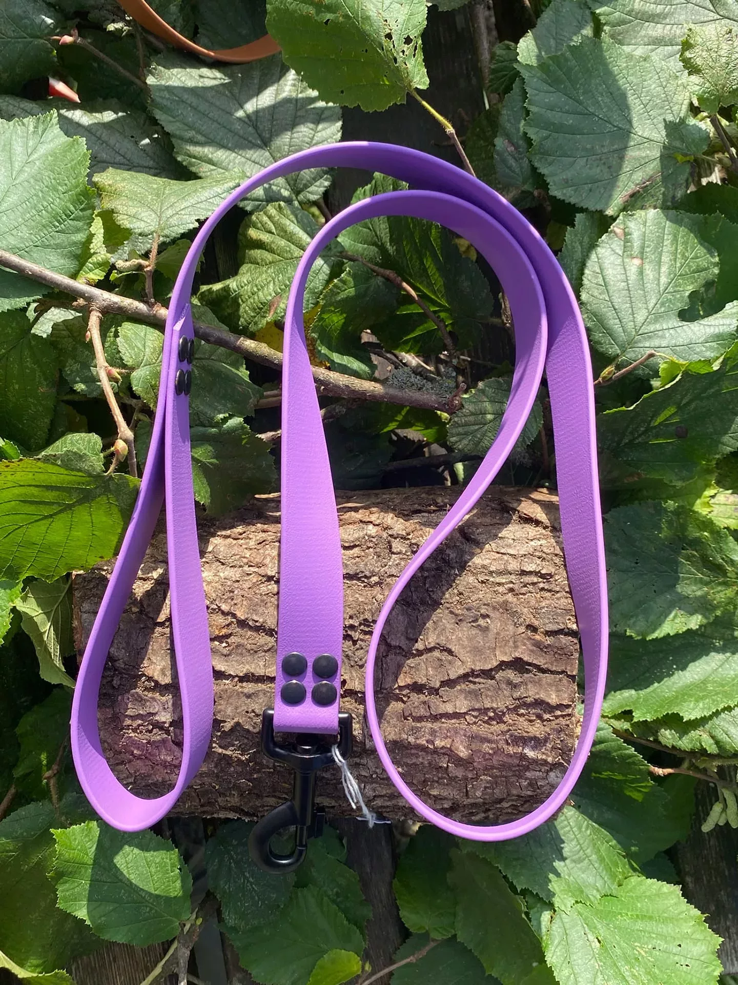 Accessoires au poil animaux fait main, fabrication en Normandie, laisse pour chien en biothane, 2 points couleur amethyste