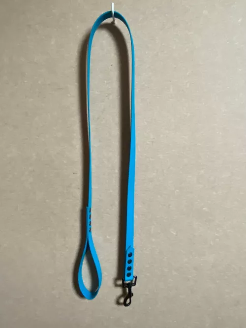 Accessoires au poil animaux fait main, fabrication en Normandie, laisse pour chien en biothane coloris bleu lagune