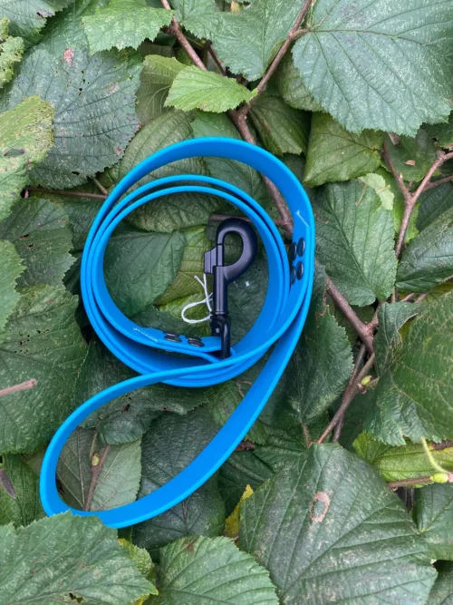 Accessoires au poil animaux fait main, fabrication en Normandie, laisse pour chien en biothane coloris bleu lagune