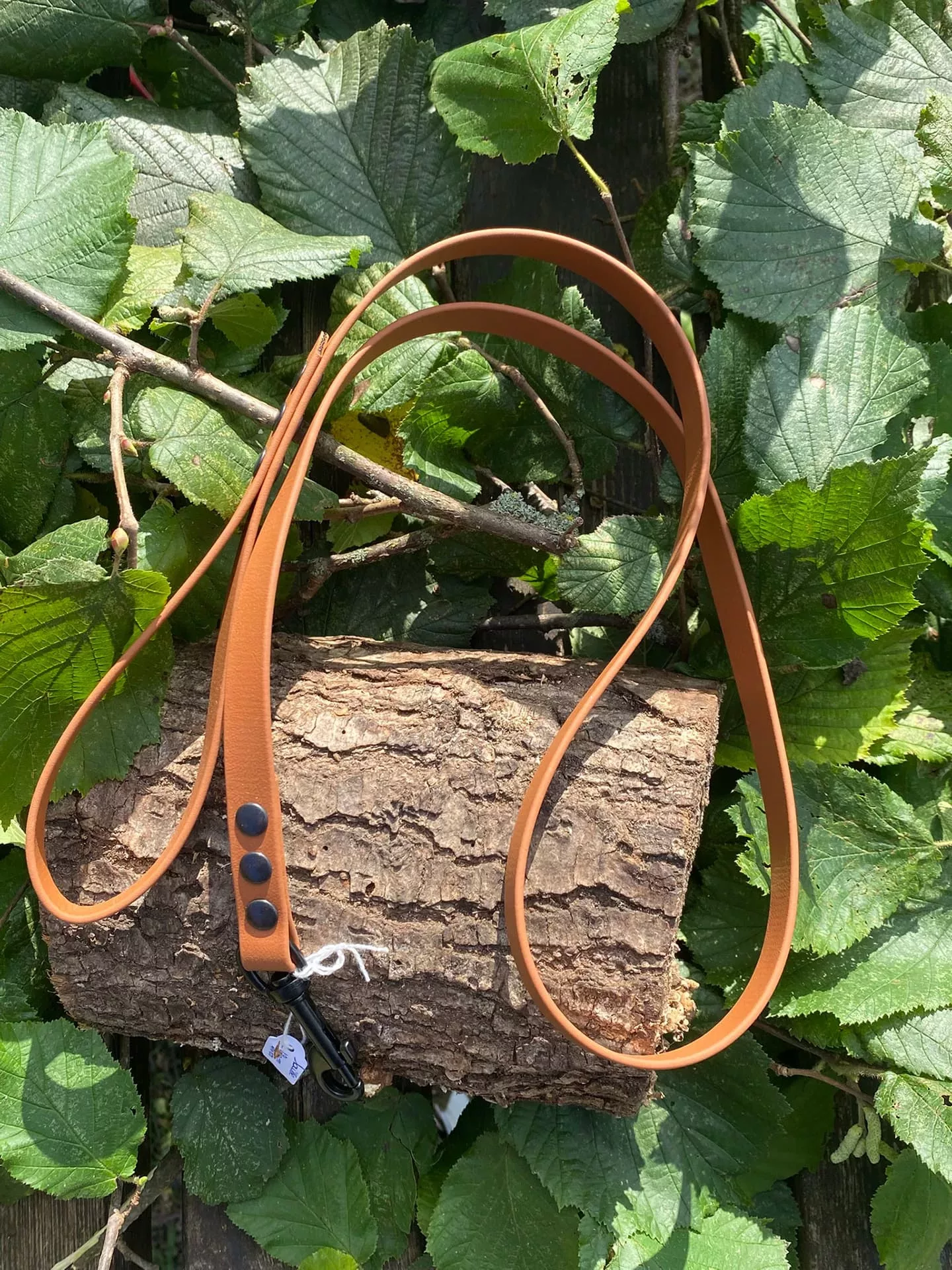 Accessoires au poil animaux fait main, fabrication en Normandie, laisse pour chien en biothane, 3 points couleur marron clair