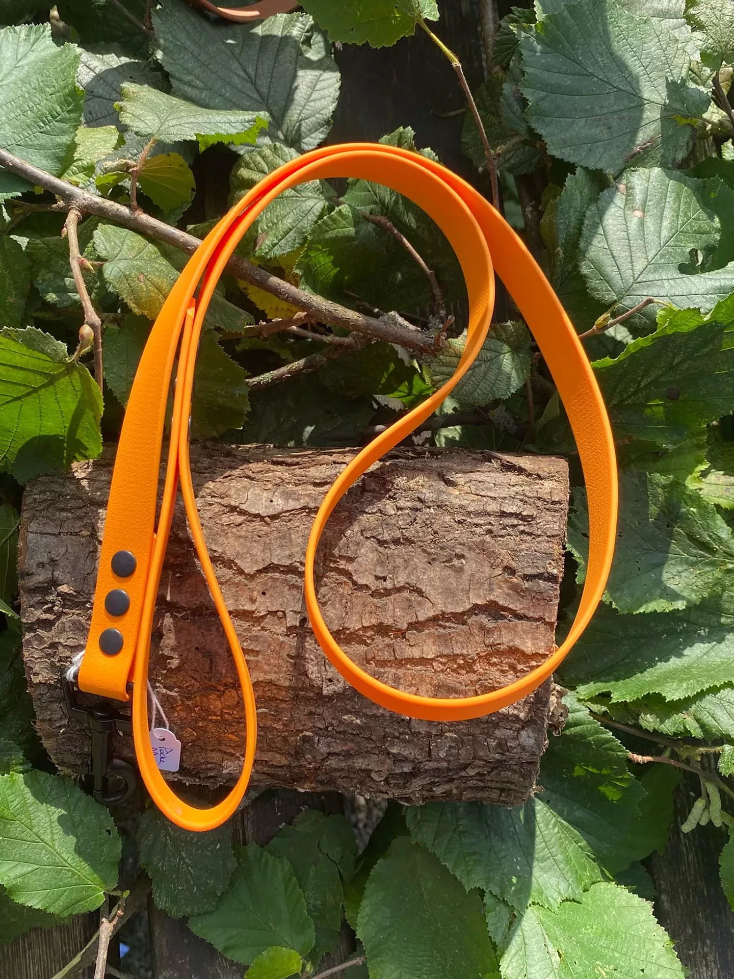 Accessoires au poil animaux fait main, fabrication en Normandie, laisse pour chien en biothane, 3 points couleur pêche