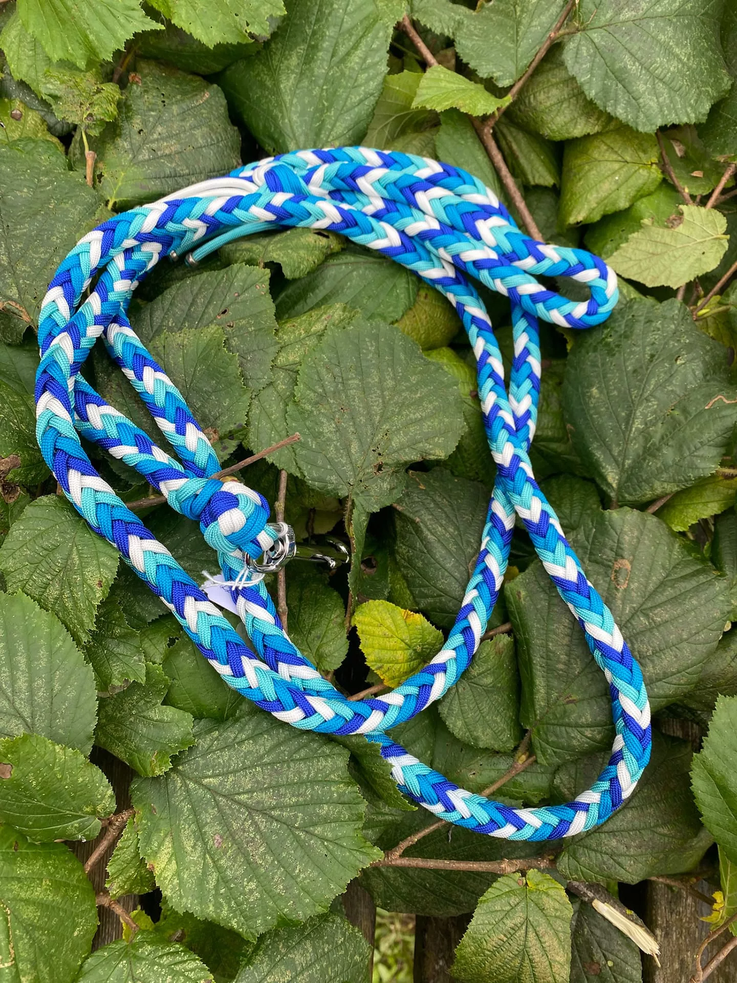 Accessoires au poil animaux fait main, fabrication en Normandie, laisse herringbone pour chien coloris bleu et blanc
