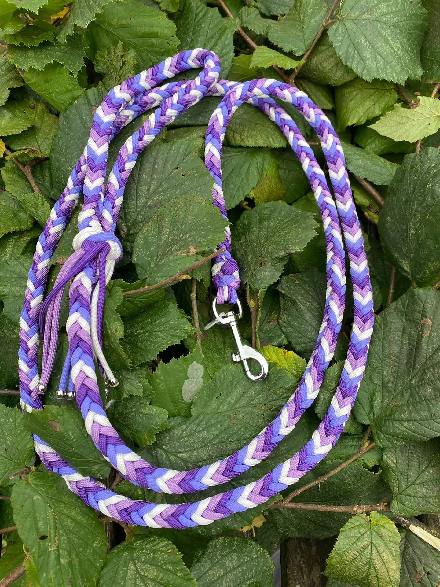 Accessoires au poil animaux fait main, fabrication en Normandie, laisse herringbone pour chien coloris violet