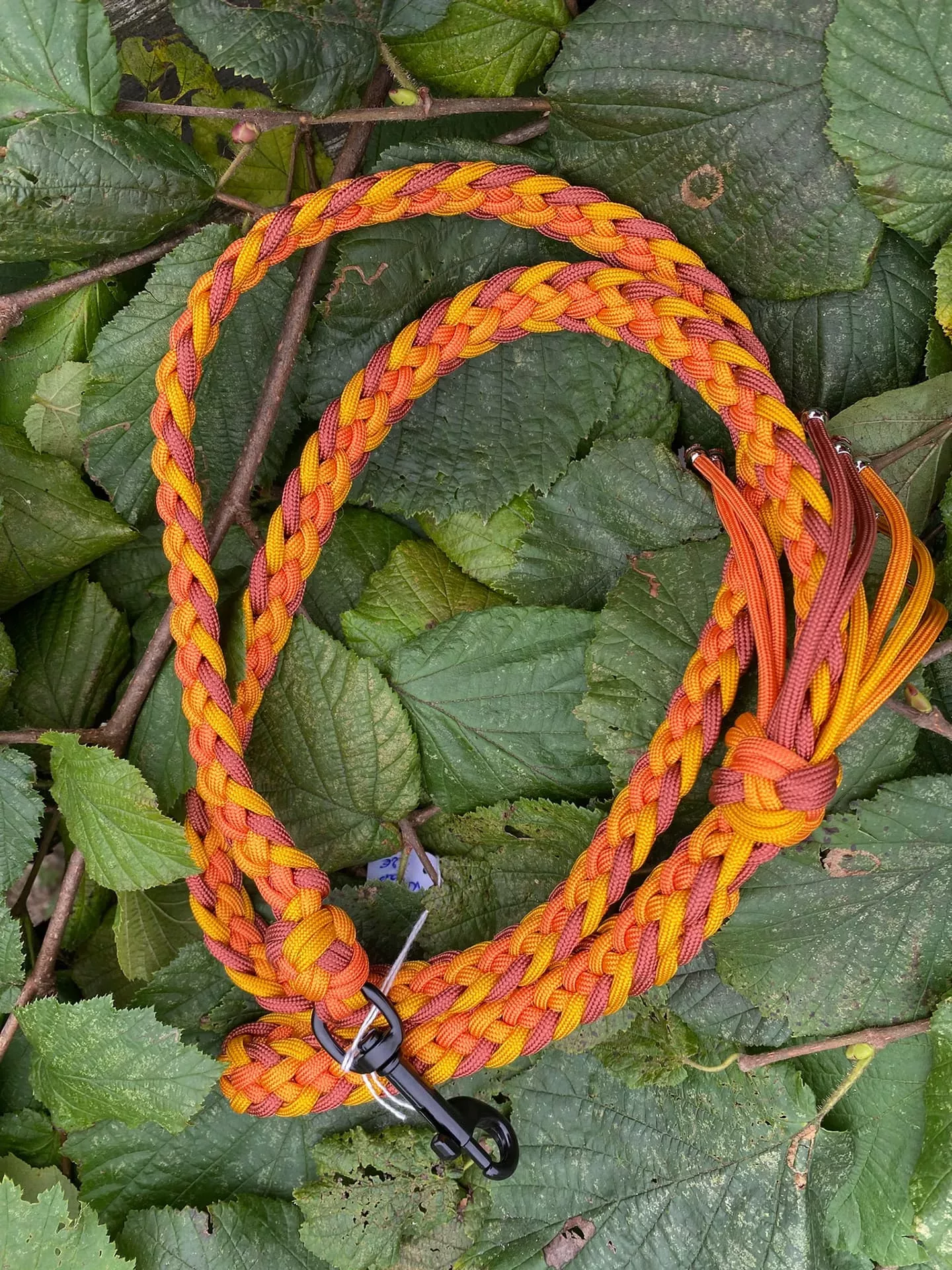 Accessoires au poil animaux fait main, fabrication en Normandie, laisse lasso pour chien couleur karayatsu camaieu orange