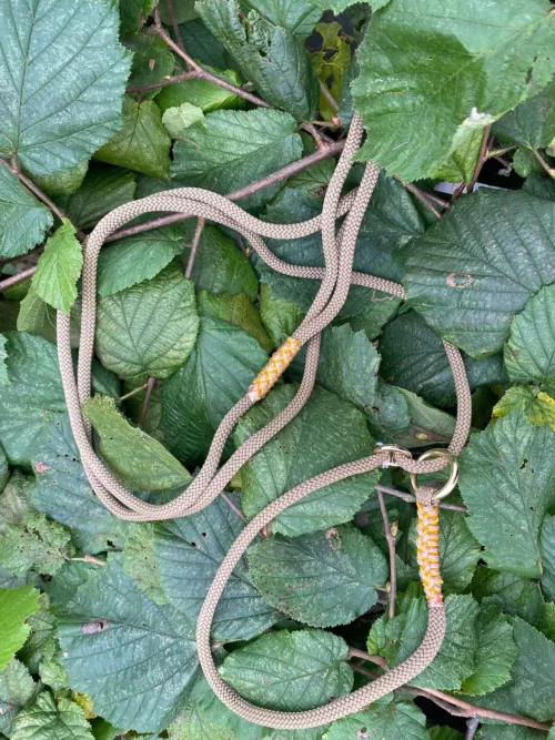Accessoires au poil animaux fait main, fabrication en Normandie, laisse lasso pour chien couleur beige