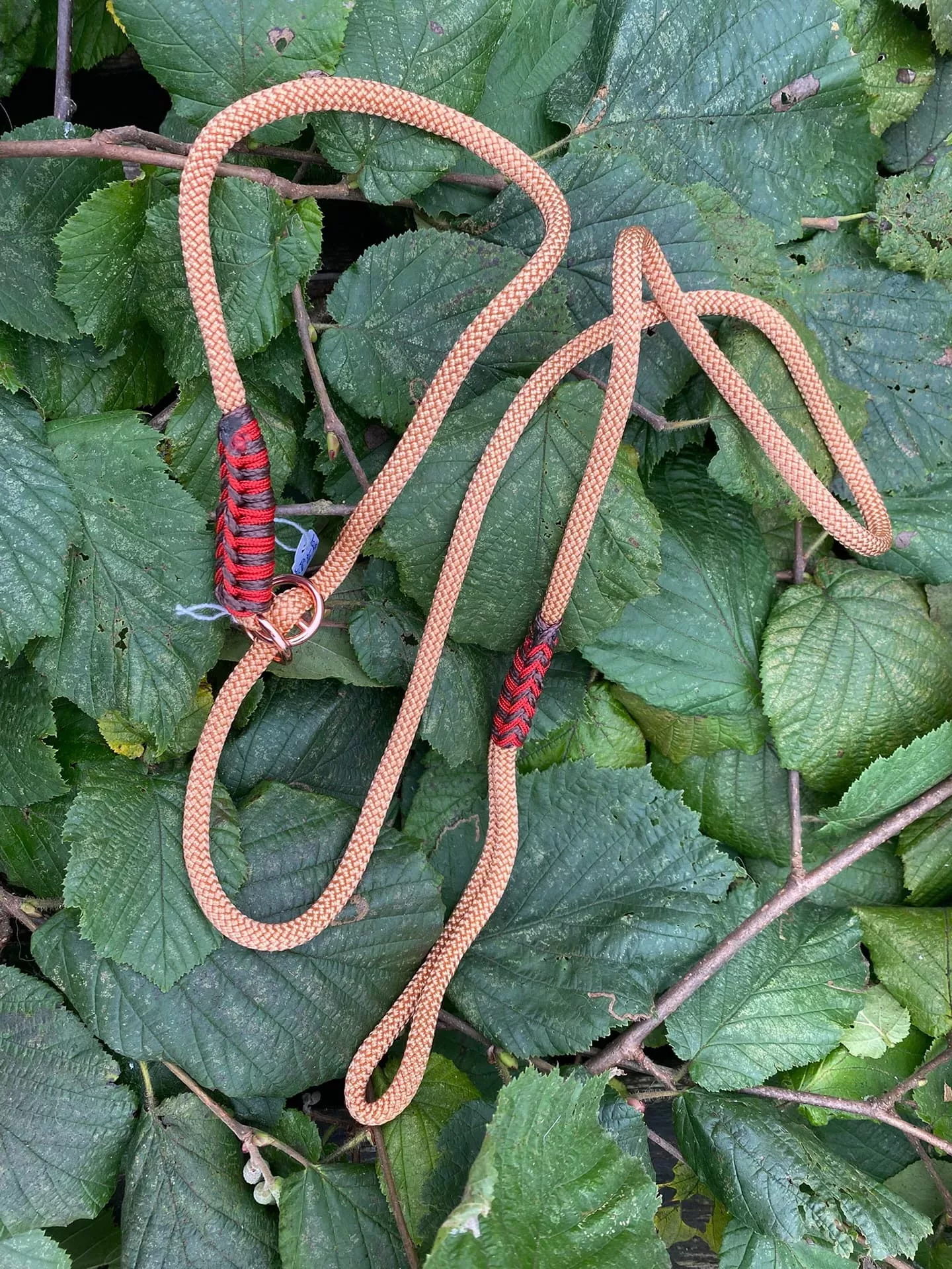 Accessoires au poil animaux fait main, fabrication en Normandie, laisse lasso pour chien couleur glamour