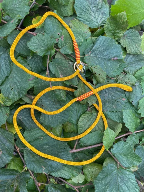 Accessoires au poil animaux fait main, fabrication en Normandie, laisse lasso pour chien coloris golden Rod
