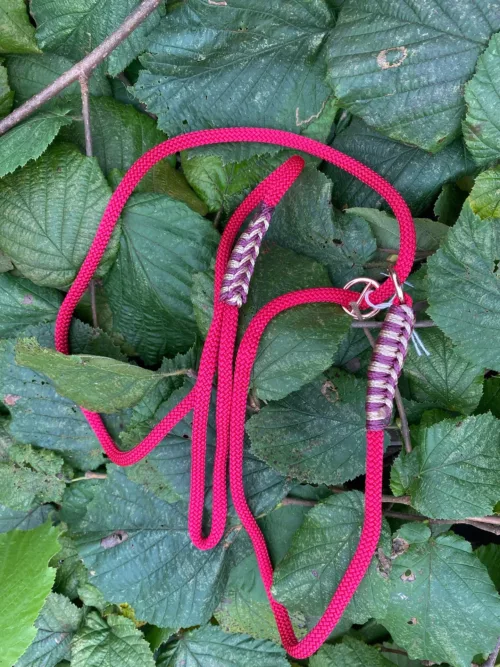 Accessoires au poil animaux fait main, fabrication en Normandie, laisse lasso pour chien couleur rouge velvet