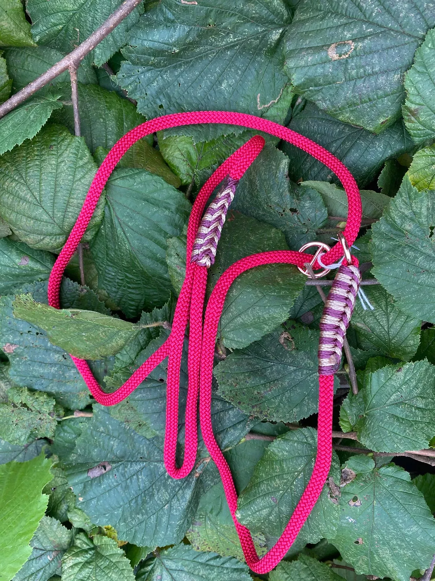 Accessoires au poil animaux fait main, fabrication en Normandie, laisse lasso pour chien couleur rouge velvet