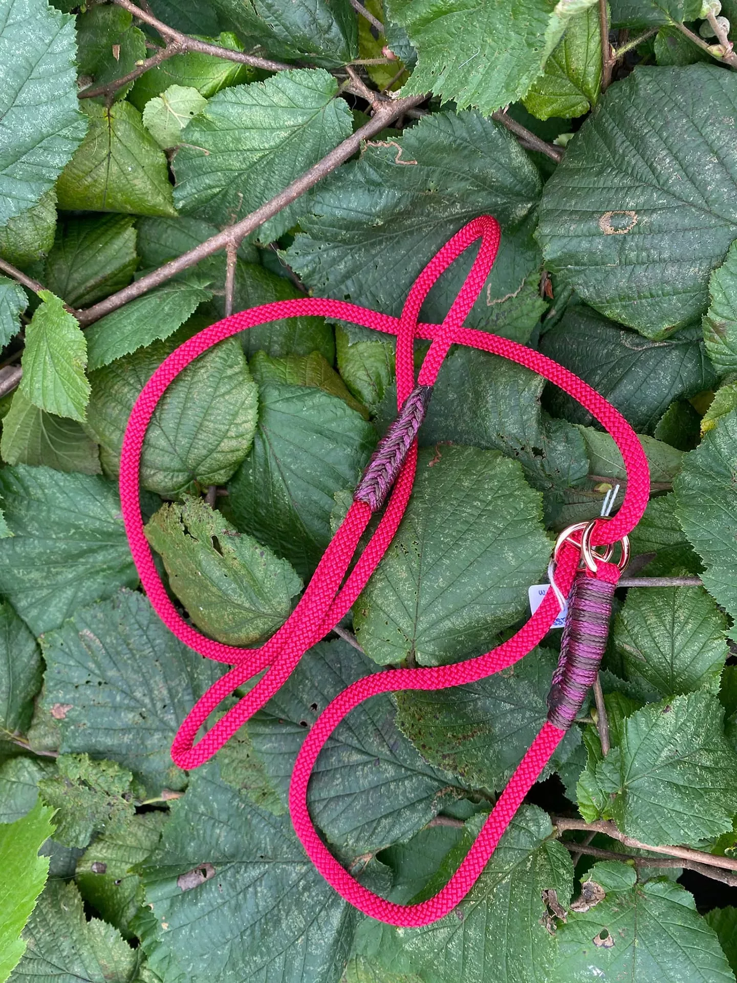 Accessoires au poil animaux fait main, fabrication en Normandie, laisse lasso pour chien couleur rouge velvet