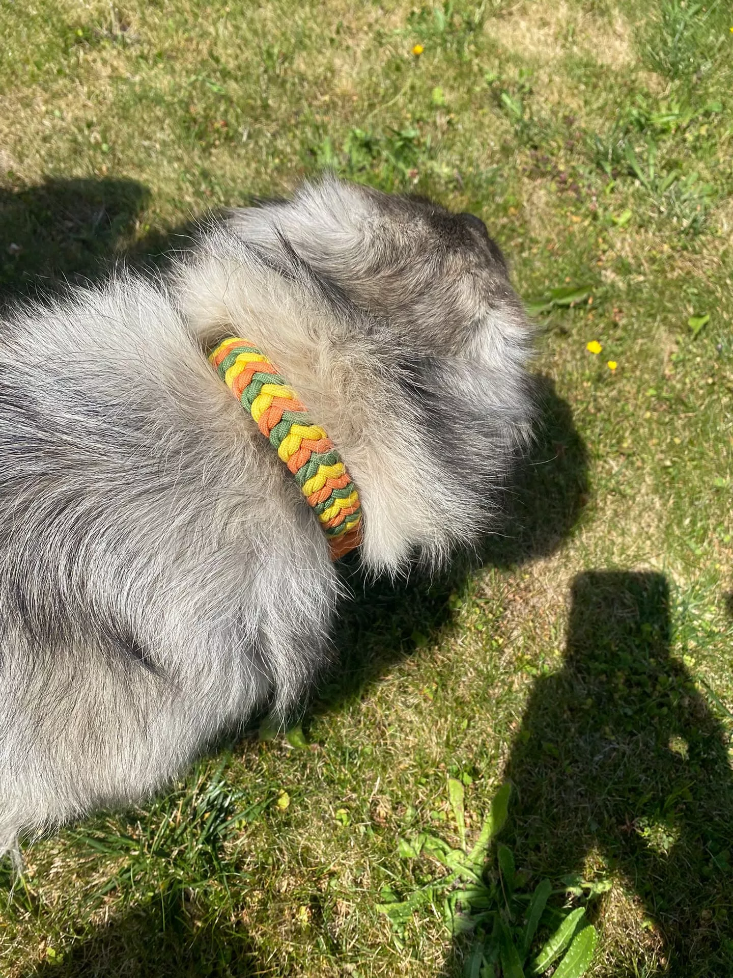 Accessoires au poil animaux fait main, fabrication en Normandie, collier type snakebelly 3 couleur coloris tango