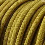 Golden treasure of Egypt